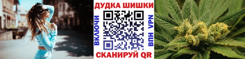 Бошки Шишки гибрид  где купить наркотик  Краснокаменск 